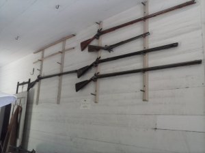 Instruments of Freedom